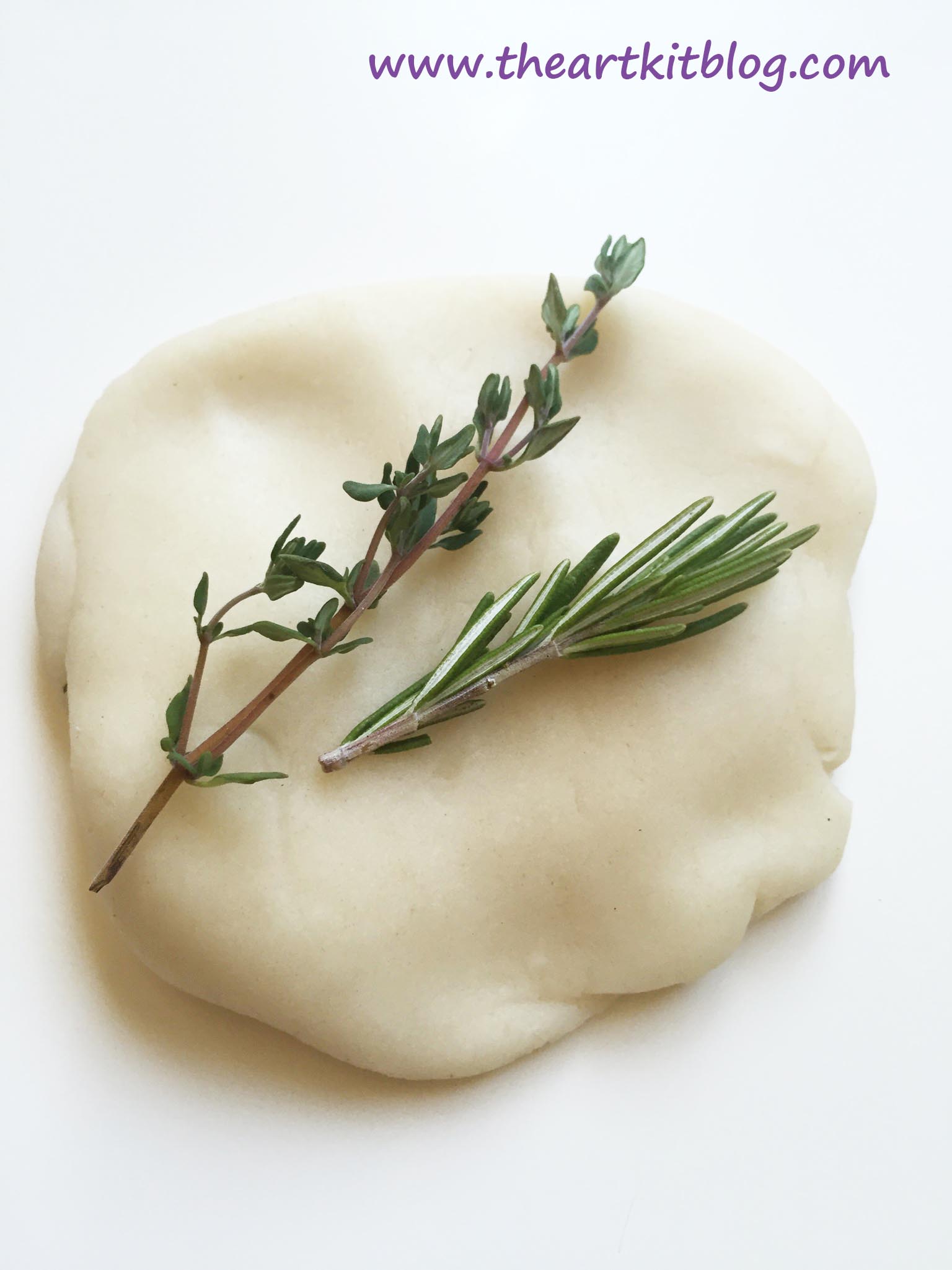 Fresh Herb Playdough Activity {Easy + Smells Divine!} The Art Kit