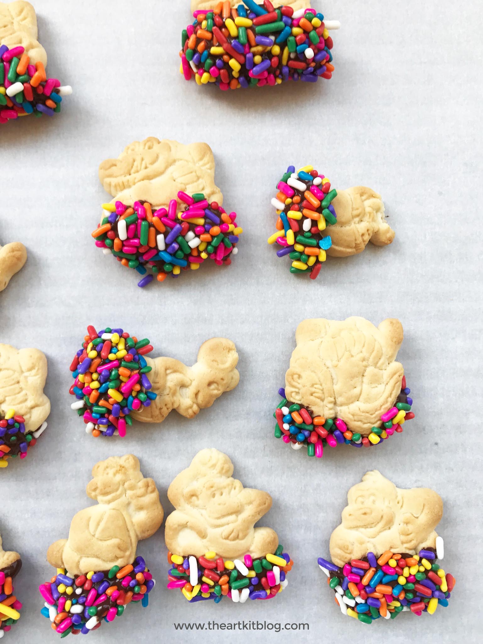 chocolate dipped animal crackers sprinkles The Art Kit