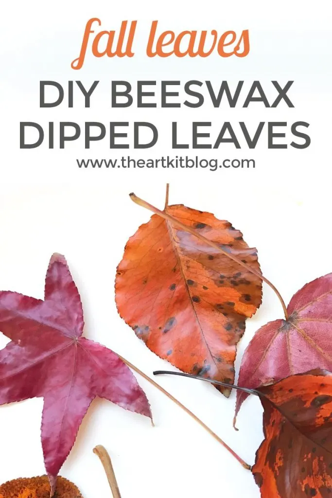 FALL_LEAVES_dipped_in_beeswax_diy_pinterest