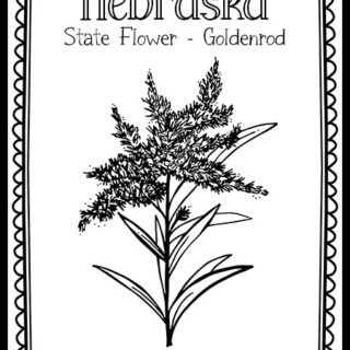 Nebraska Archives - The Art Kit