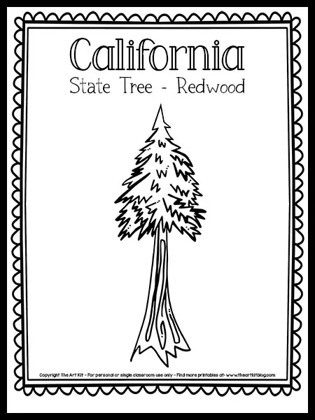 california state tree coloring page redwood the art kit 