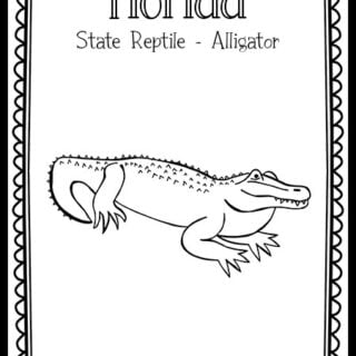 Florida Archives - The Art Kit