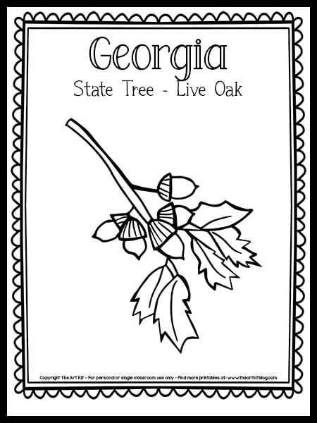 georgia state tree live oak coloring page the art kit