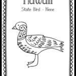Hawaii (The 50th State!) Coloring Page {FREE Printable!} - The Art Kit