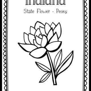 Indiana Archives - The Art Kit