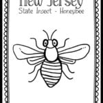 {Free Printable} New Hampshire State Insect Coloring Page (Ladybug ...