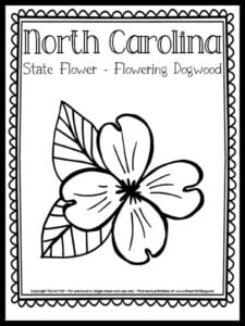 North Carolina State Flower Coloring Page (Flowering Dogwood) {FREE Printable!} - The Art Kit