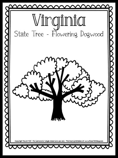 virginia state tree flowering dogwood coloring page the art kit