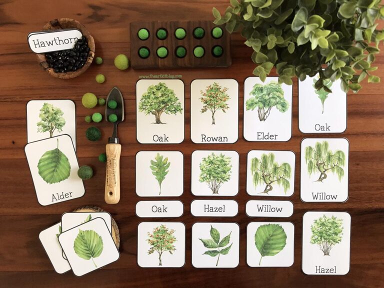 FREE Printable Trees and Leaves 3-Part Cards - The Art Kit