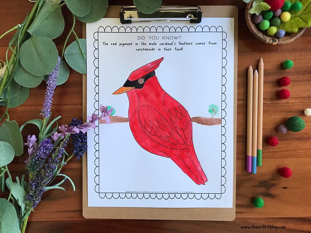 c is for cardinal worksheet coloring pages dot font the art kit copy photo