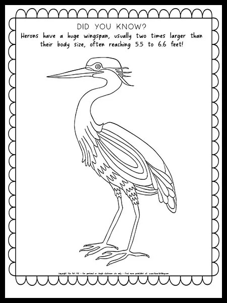 Heron Coloring Page with Fun Fact {FREE PRINTABLE!} - The Art Kit