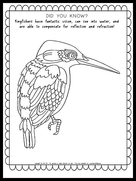 kingfisher bird coloring pages fun fact the art kit