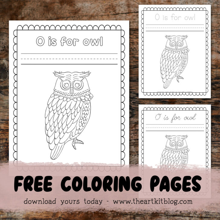 O is for Owl Coloring Pages {FREE PRINTABLE!} - The Art Kit