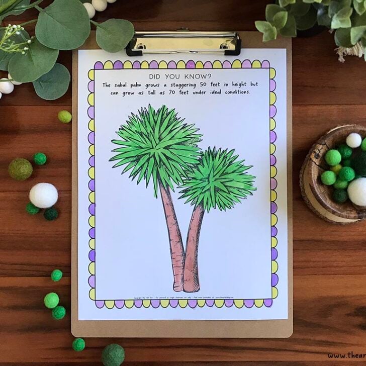 Trees Archives - The Art Kit