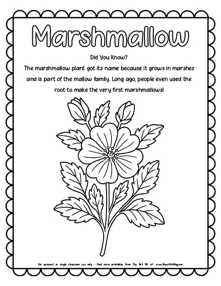 marshmallow-coloring-pages copy
