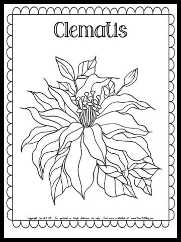 Clematis Flower Coloring Page {FREE PRINTABLE!} - The Art Kit