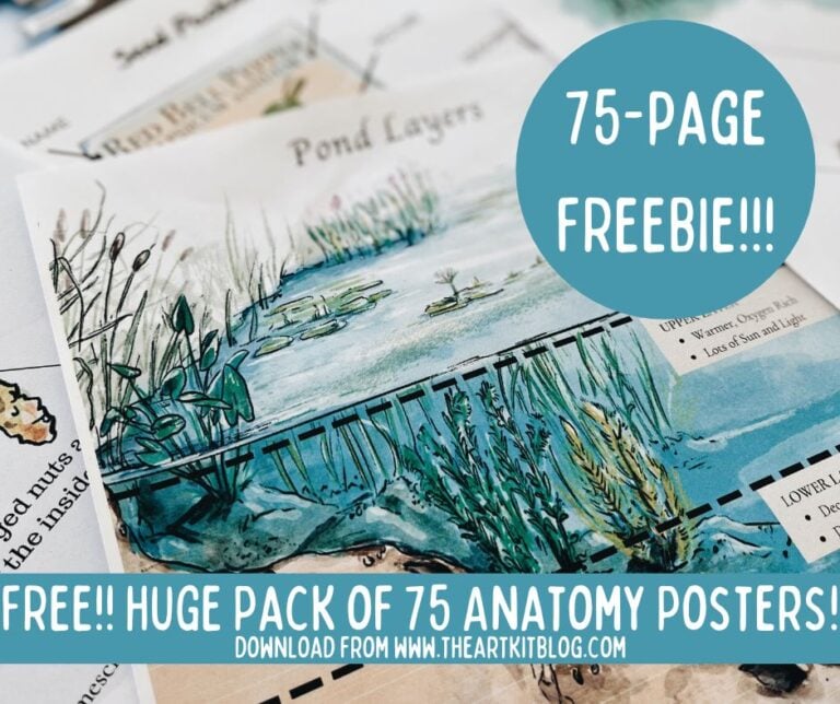 ‼️⏰ LAST DAY TO GET THIS $49 FREEBIE: HUGE Pack of 75 Gorgeous Watercolor Anatomy Posters