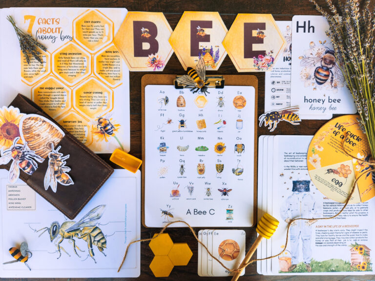honey bee study pack printable digital download