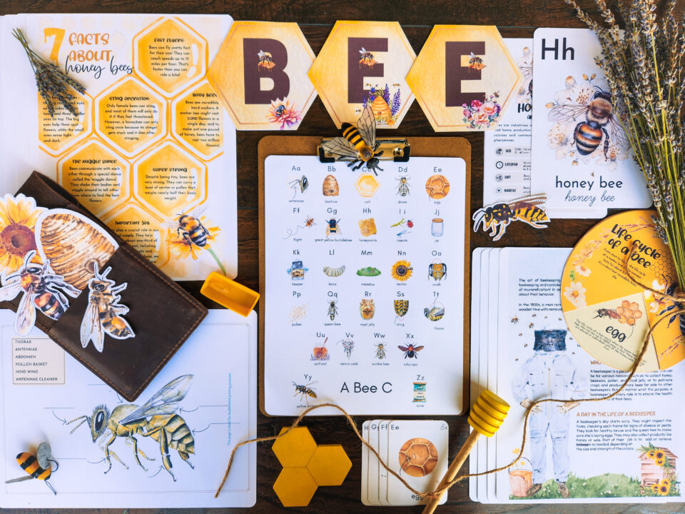 Honey Bee Study Pack: Printables for Kids - The Art Kit