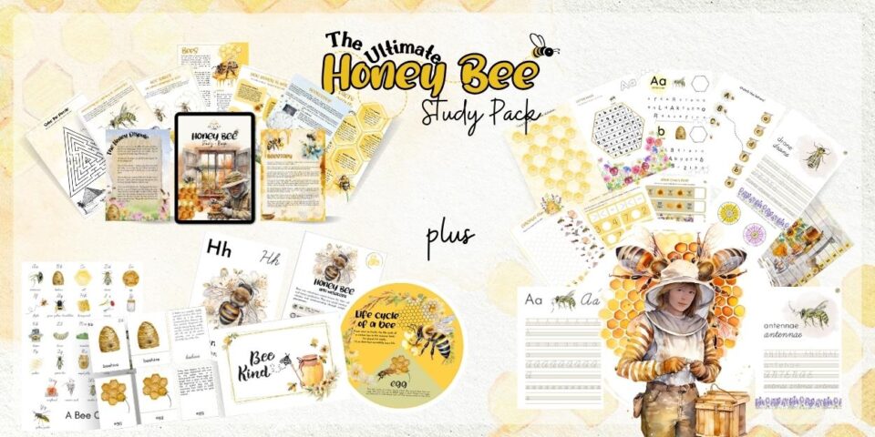 Honey Bee Study Pack: Printables for Kids The Art Kit