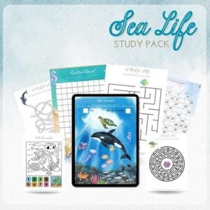 sea-life-study-pack-mega-bundles-the-art-kit