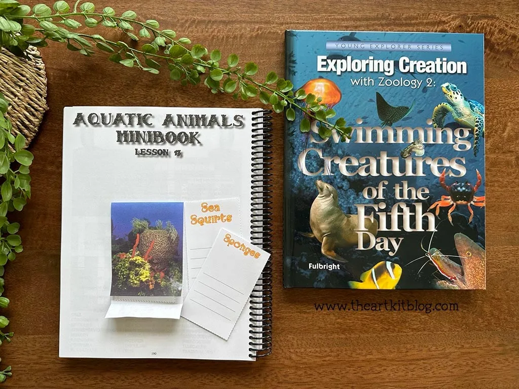 zoology 2 exploring creation swimming creatures of the fifth day review_the art kit 13