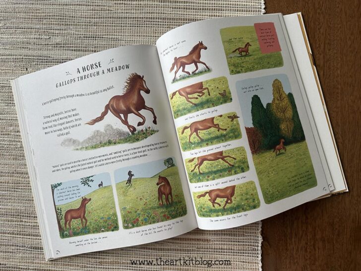 Nature Book for Kids Review The Art Kit