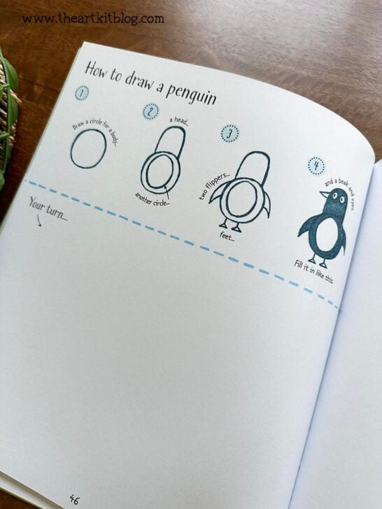 The Usborne Step-by-Step Drawing Book: REVIEW - The Art Kit