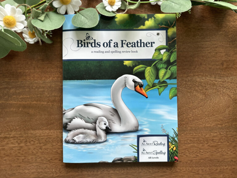 birds of a feather review all about learning reading spelling homeschool curriculum