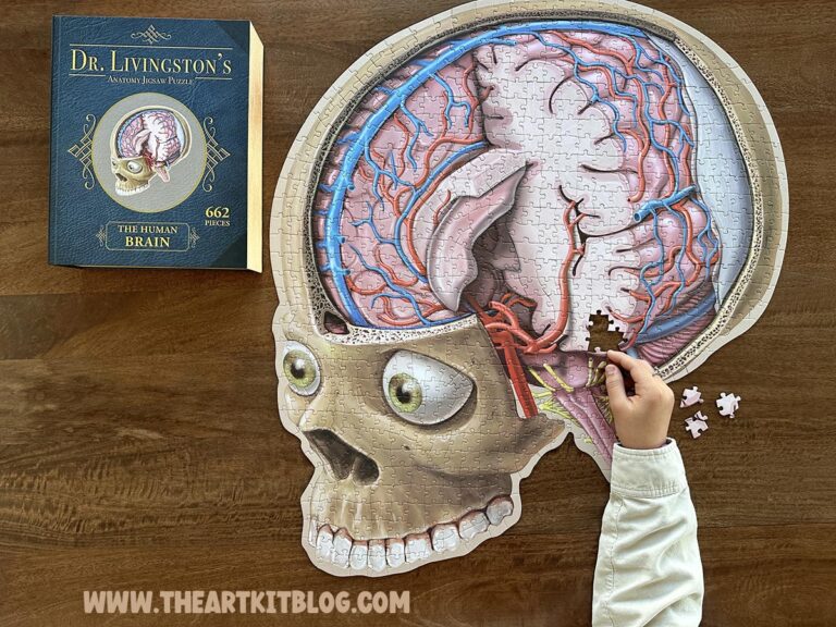 human brain anatomy puzzle for kids review the art kit