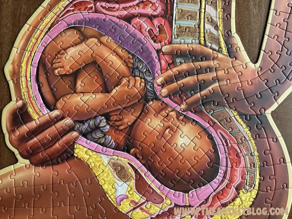 pregnant mother anatomy puzzle for kids review the art kit