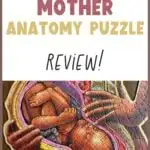 pregnant mother anatomy puzzle for kids review the art kit