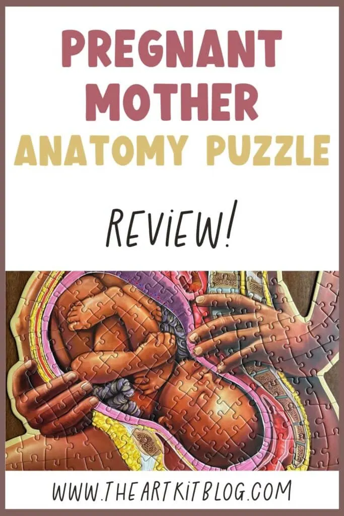 pregnant mother anatomy puzzle for kids review the art kit