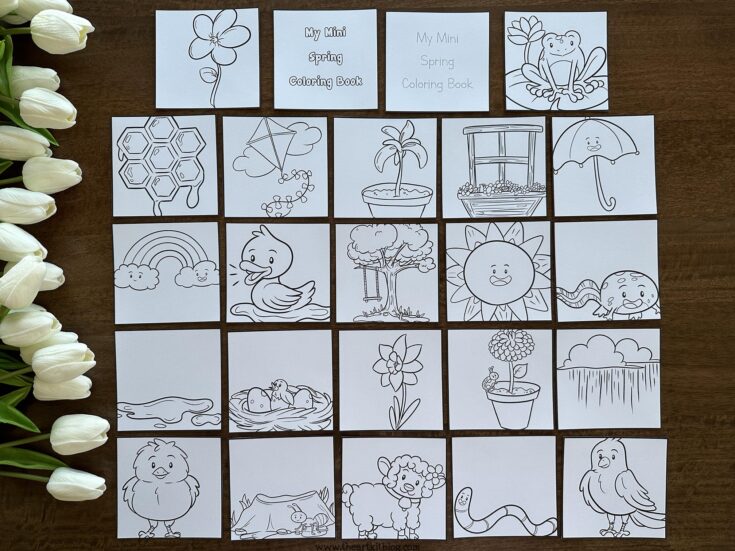 Spring Mini Book Templates FREE Printable Mini Spring Coloring Pages - The Art Kit