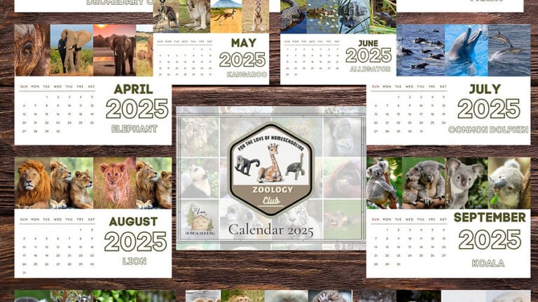 Limited Time FREEBIE: 2025 Animal of the Month Wall Calendars