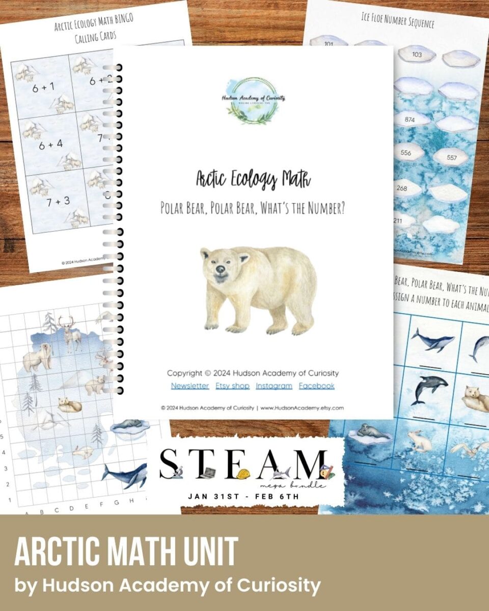 Arctic Math Unit - The Art Kit