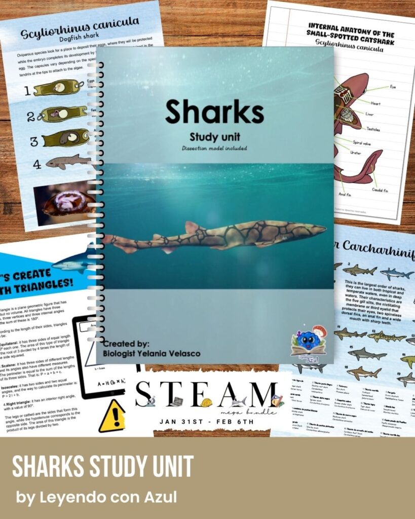 Sharks study unit - The Art Kit