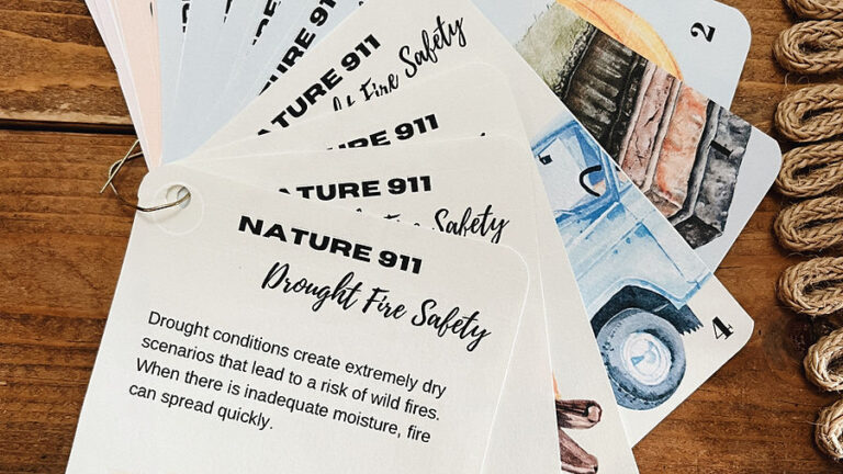 Limited Time FREEBIE: Nature 911 - Seasons Cards