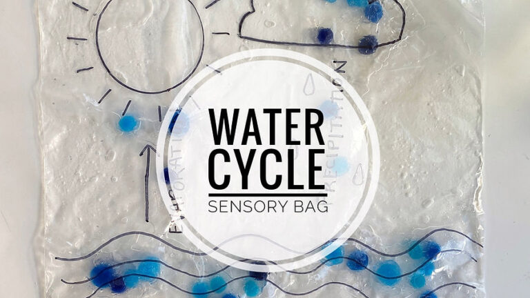 Limited Time FREEBIE: Water Cycle Printables + Activity