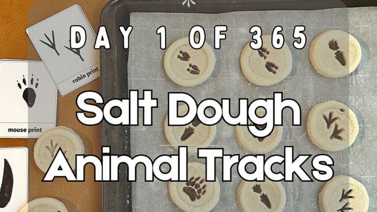 Limited Time FREEBIE: Salt Dough Animal Tracks Activity