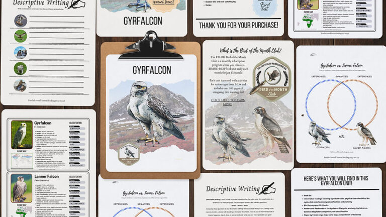 Limited Time FREEBIE: Gyrfalcon Nature Study