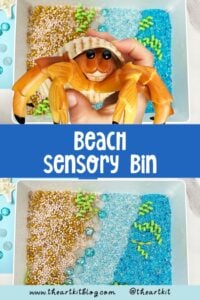 diy-beach-sensory-bin-ideas