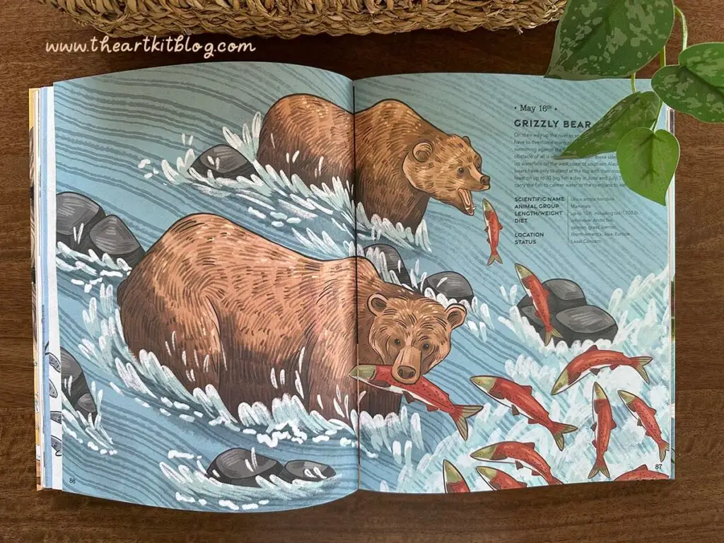 daily-animal-book-kids