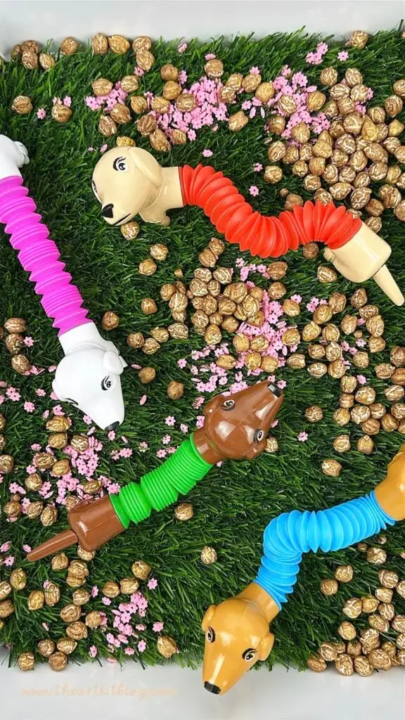 dog sensory bin