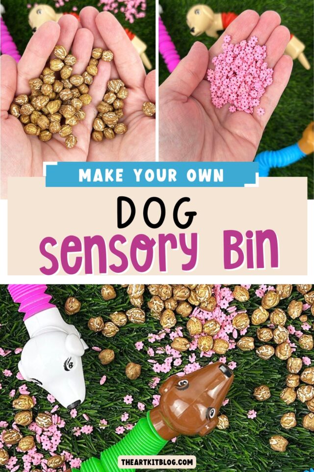Dog Sensory Bin Photo Inspiration
