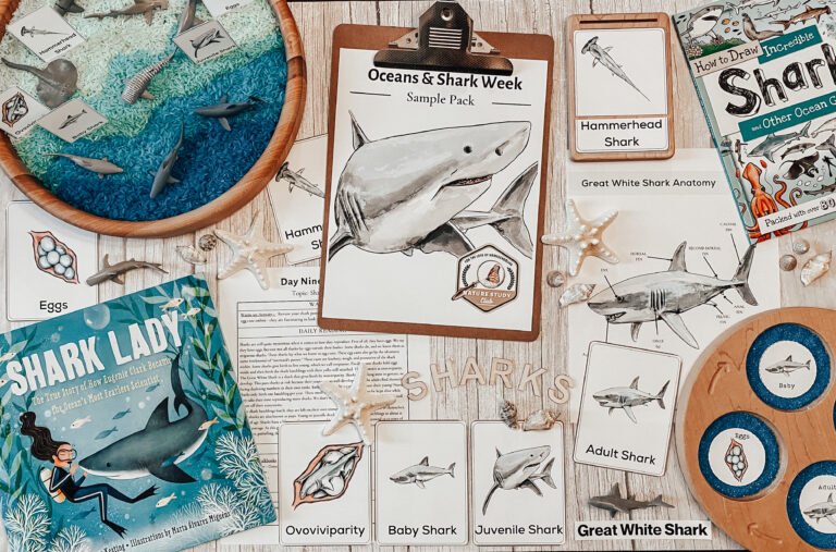 🦈⏰ 1 DAY LEFT: Shark Unit FREEBIE