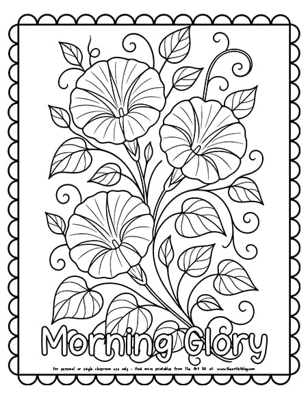 Morning glory flower coloring page with vines