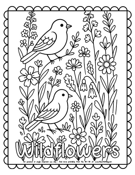 Wildflower meadow coloring page with birds