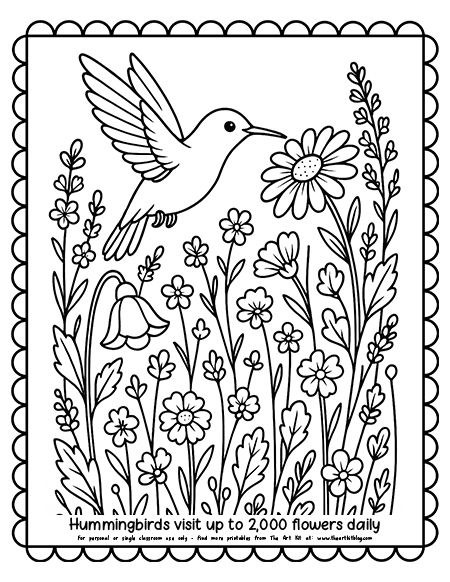 A hummingbird among wildflowers in a meadow coloring page