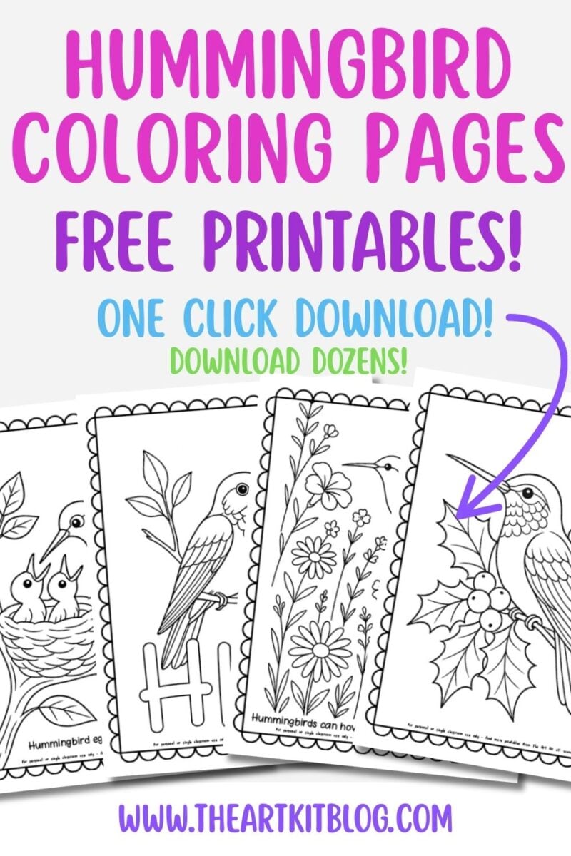 30 Free Hummingbird Coloring Pages for Kids and Adults - The Art Kit